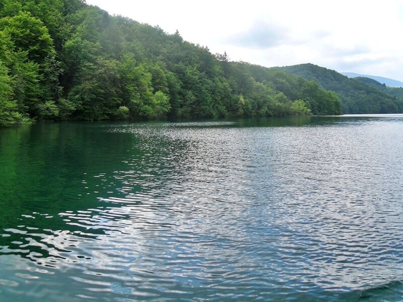 Green Lake with Forest