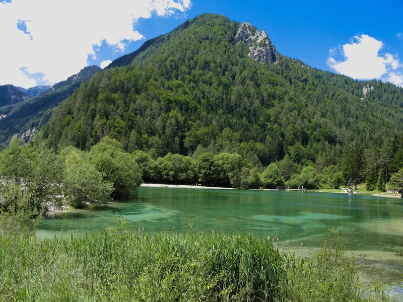 Green lake with forested mountain