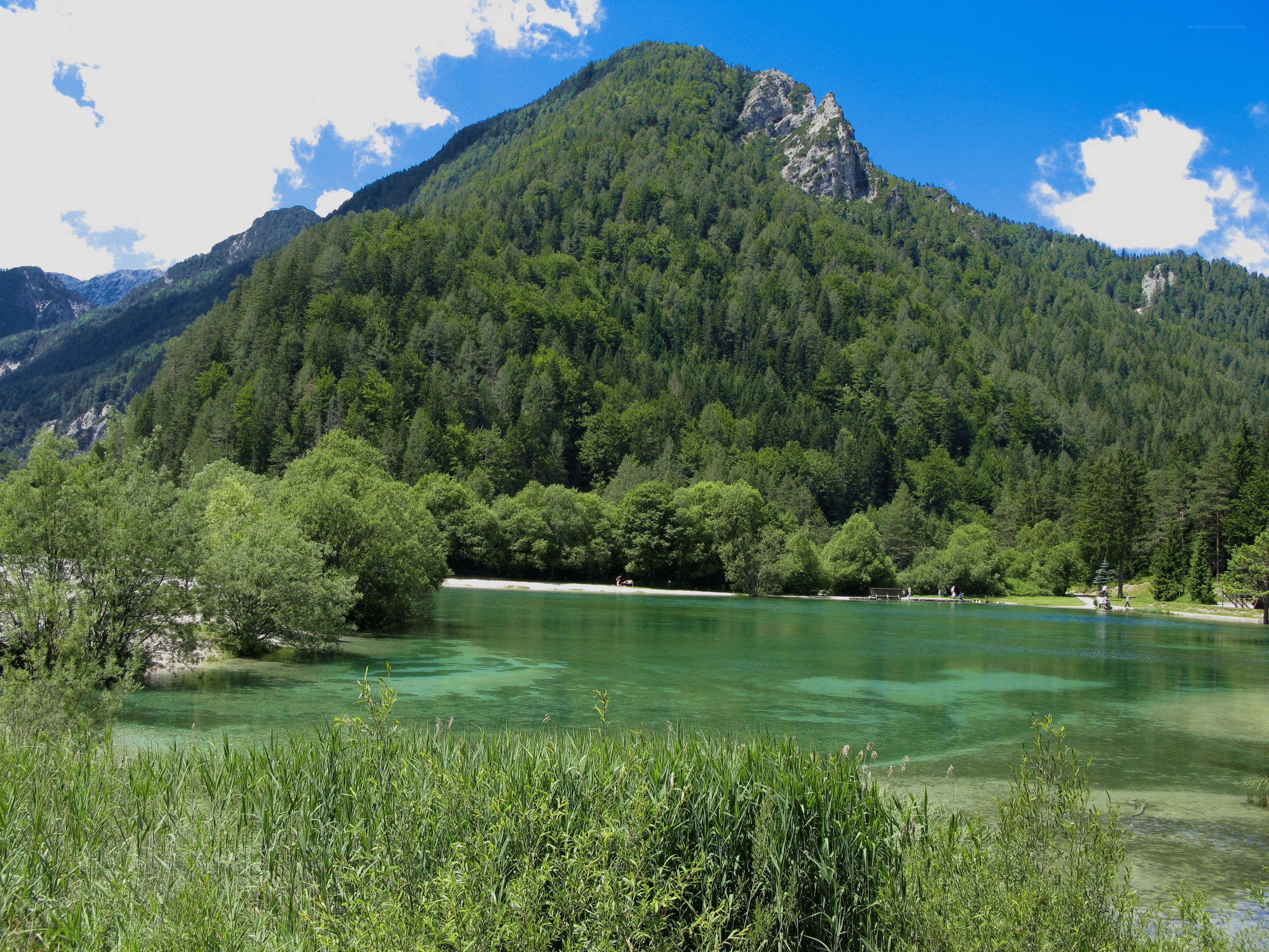 Green lake with forested mountain