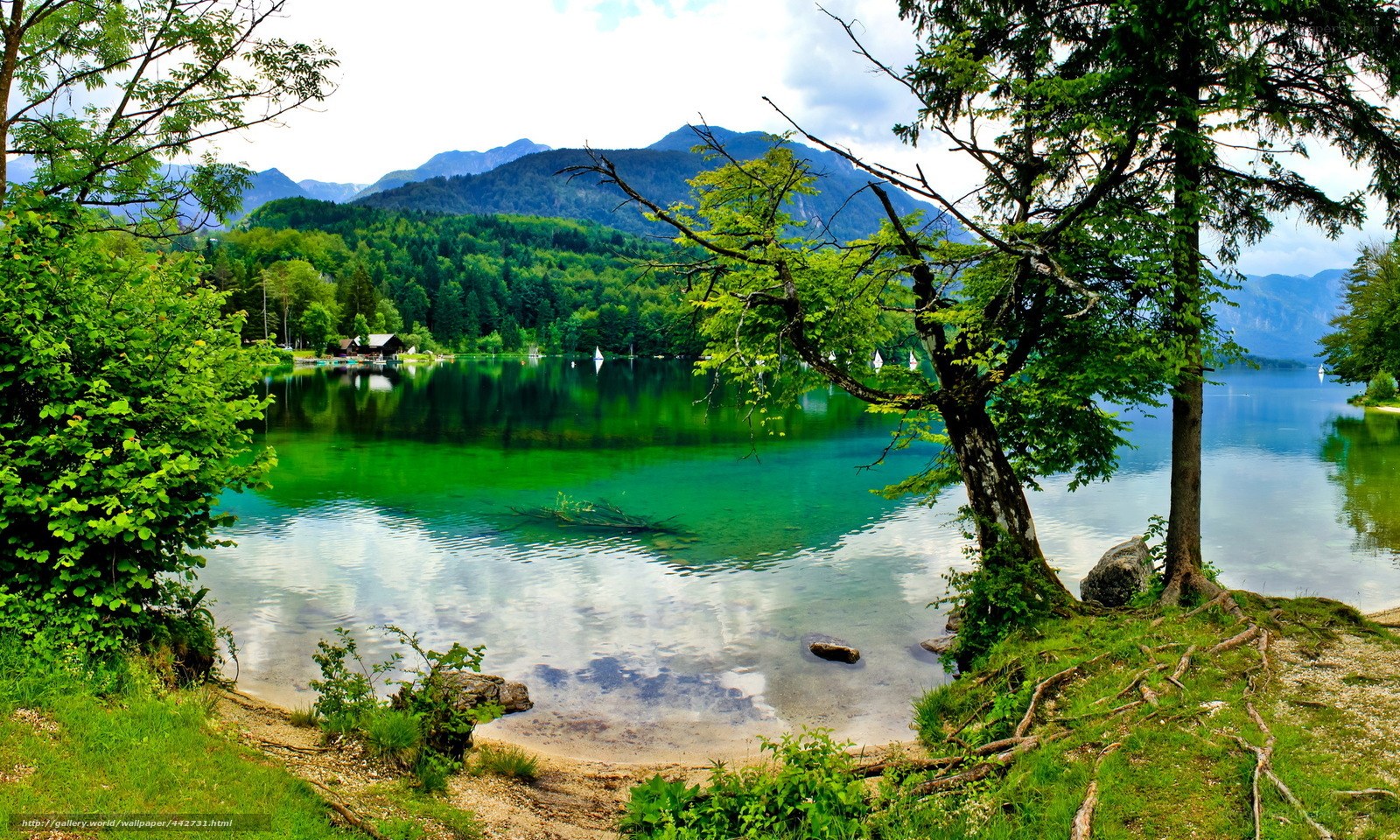 Green lake with mountains