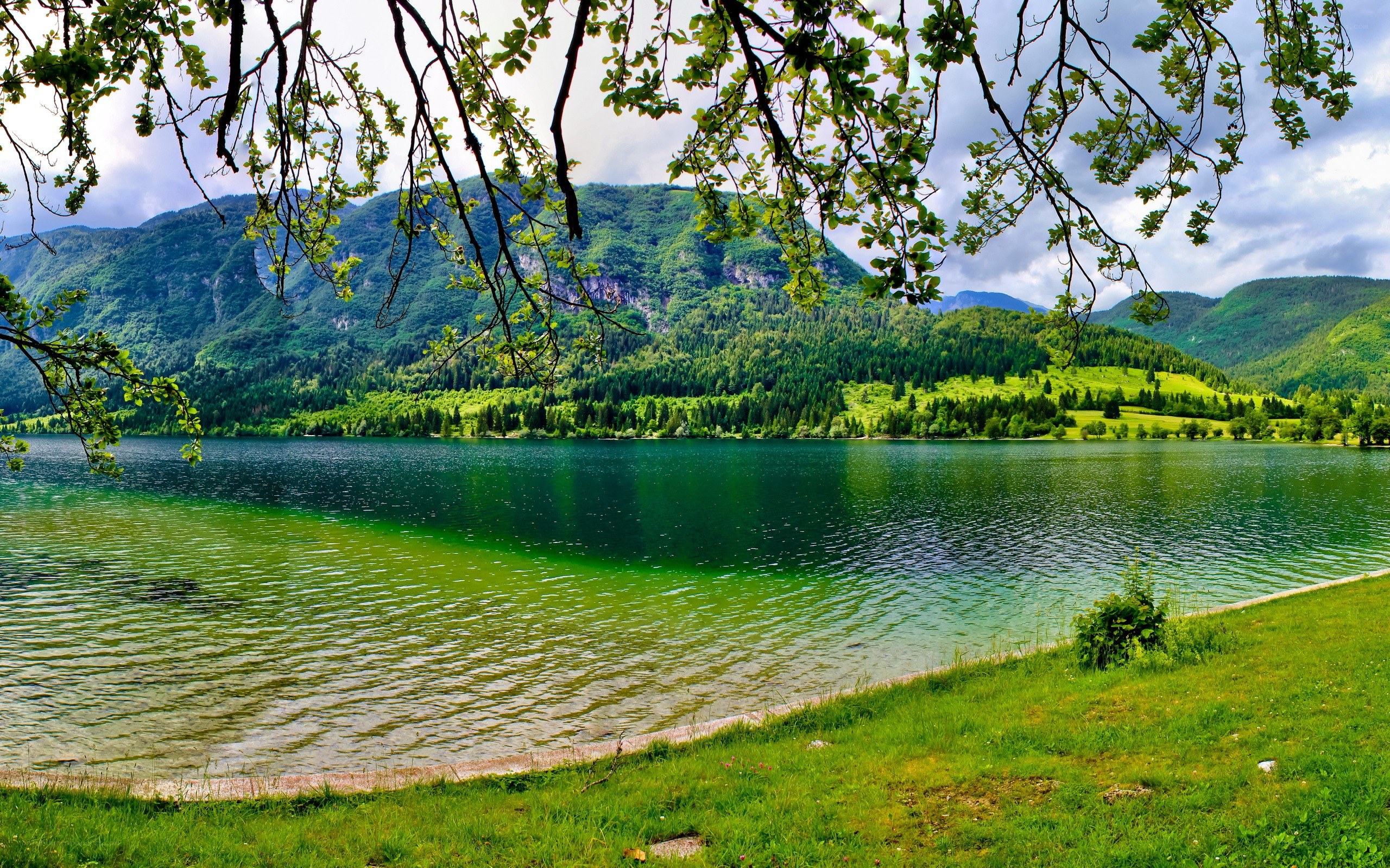 Green lake with mountains
