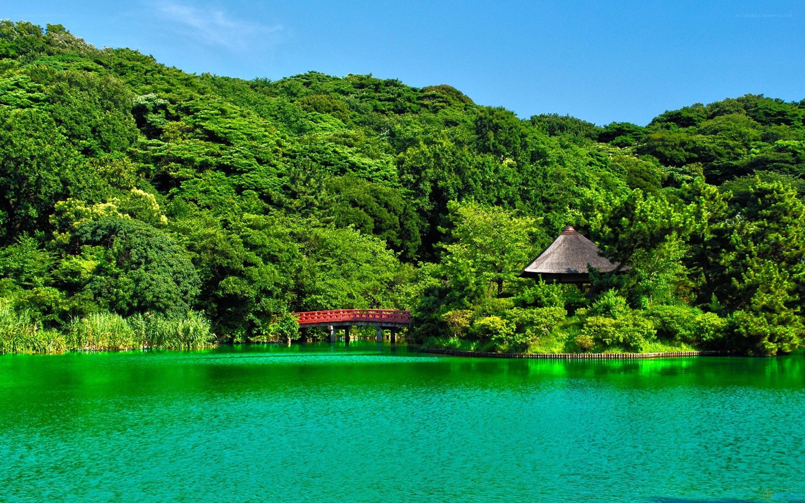 Green lake with red bridge