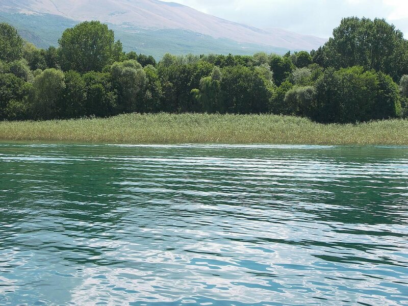 Green Lake with Reeds