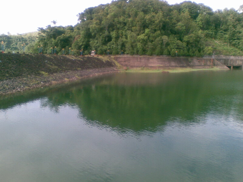 Green Lake with Trees — Calm