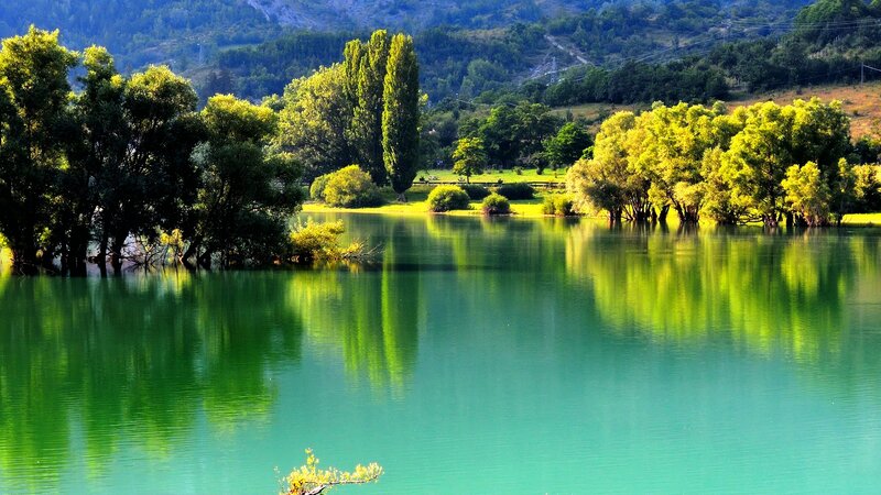 Green Lake with Trees