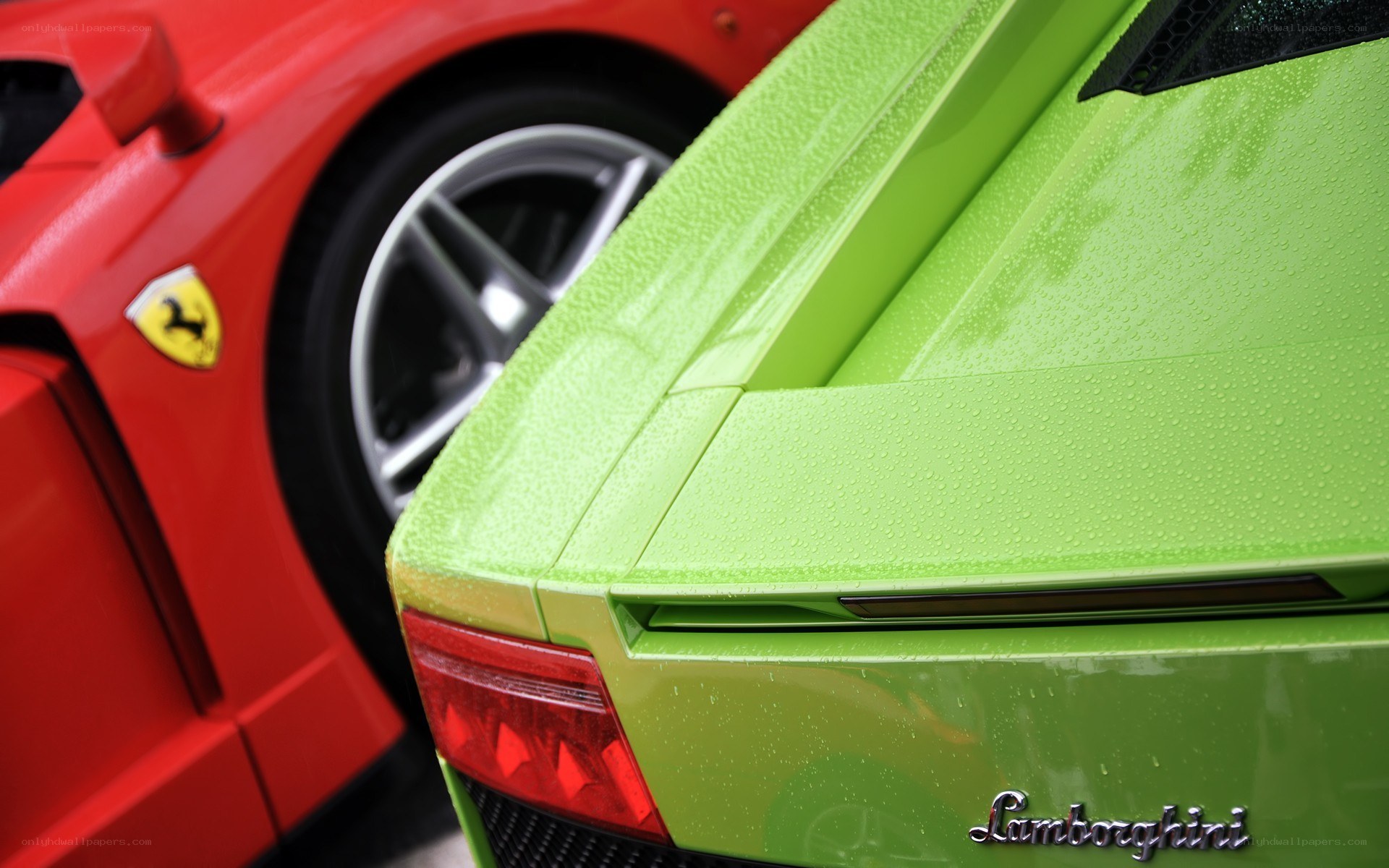Green Lamborghini and red Ferrari