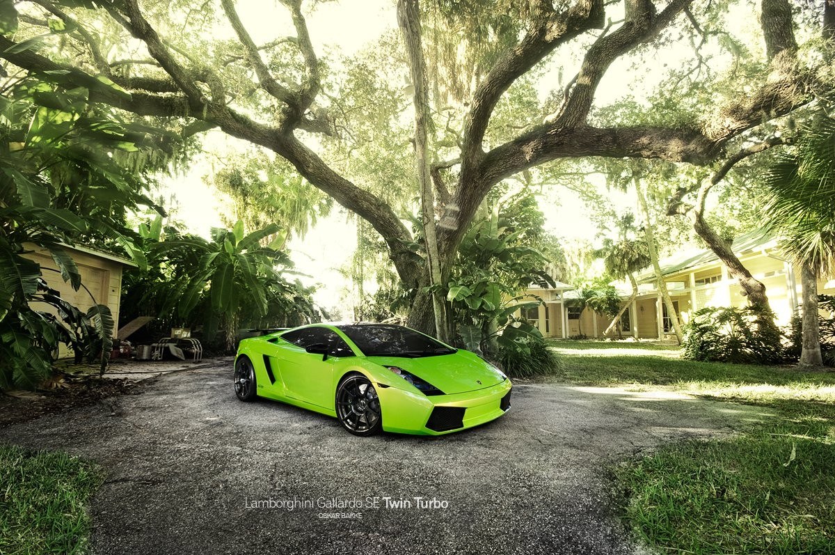 Green Lamborghini in a driveway