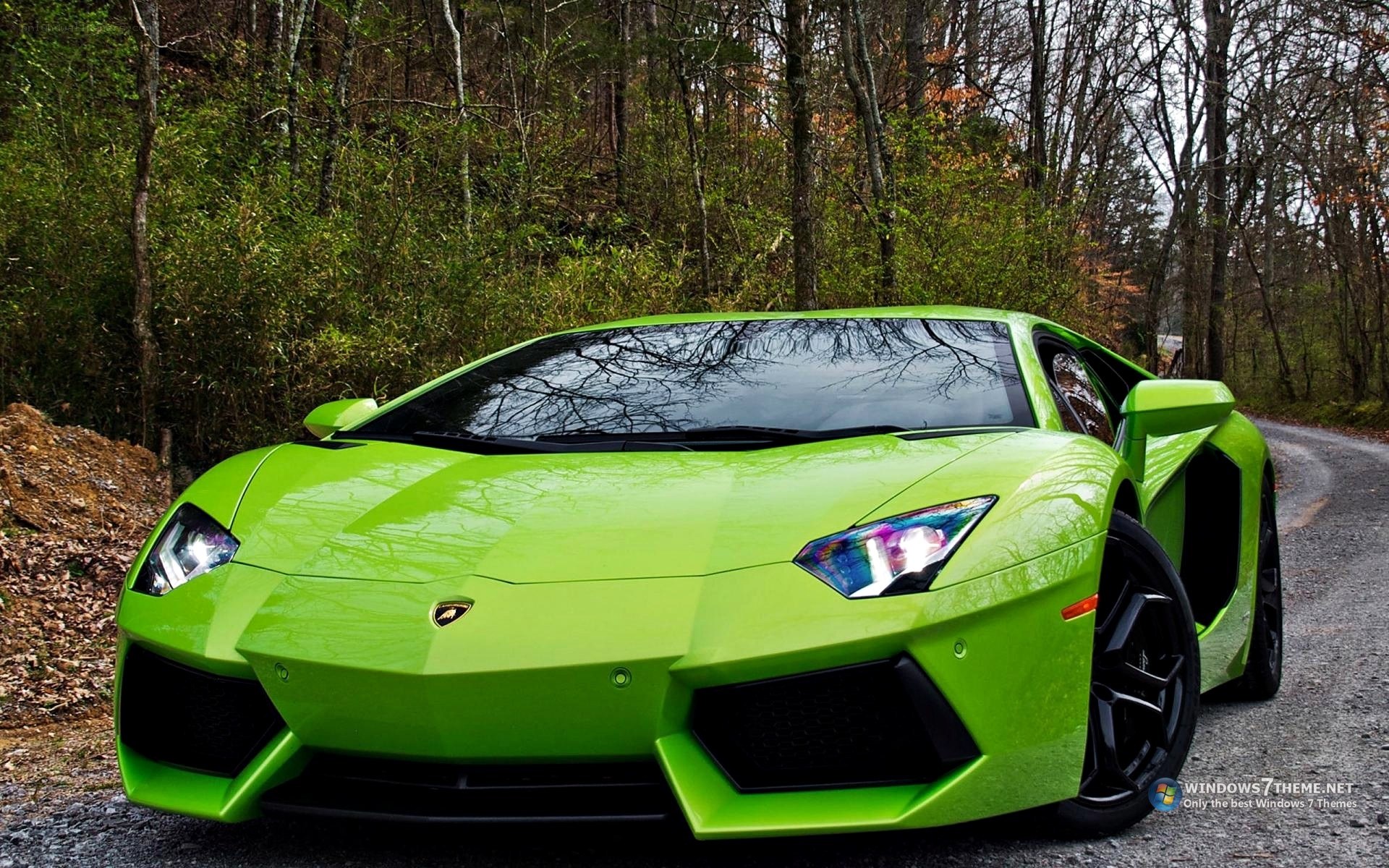 green lamborghini in forest