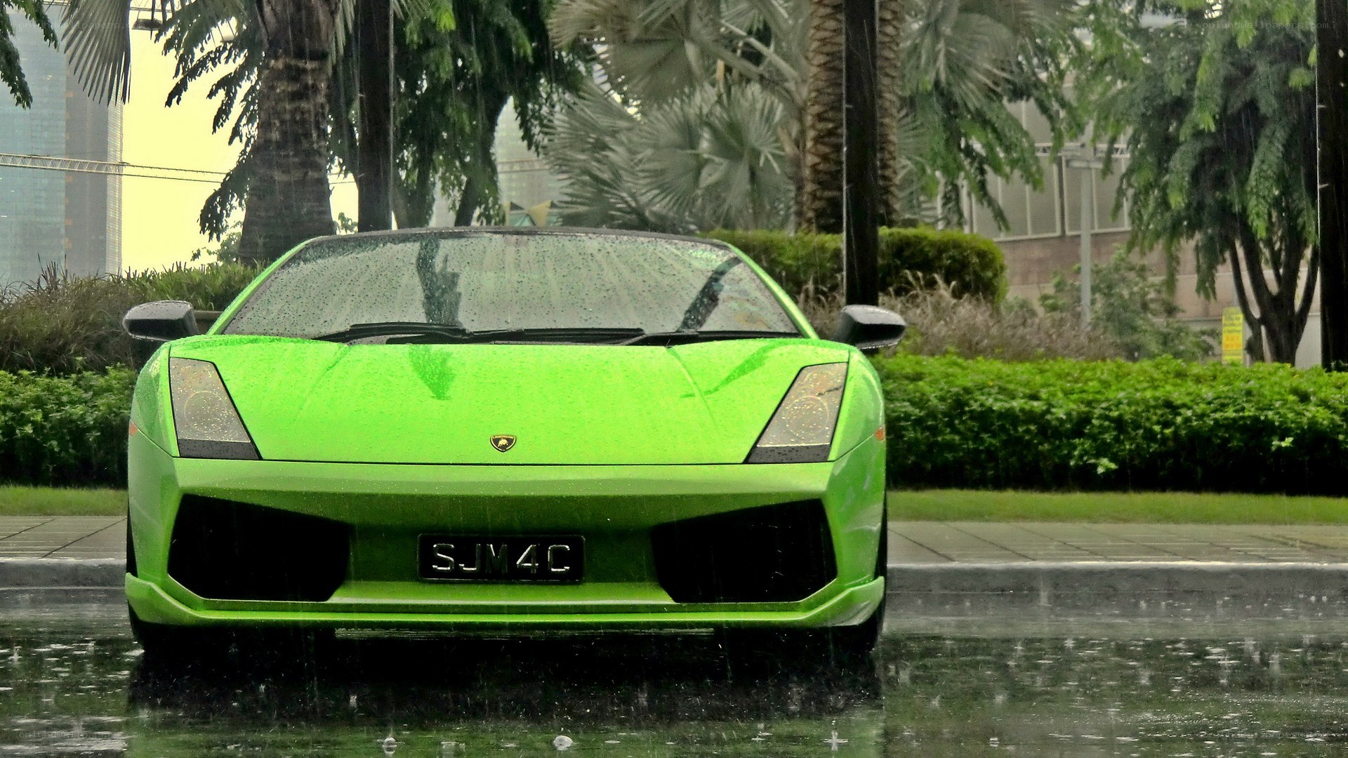 green lamborghini in rain