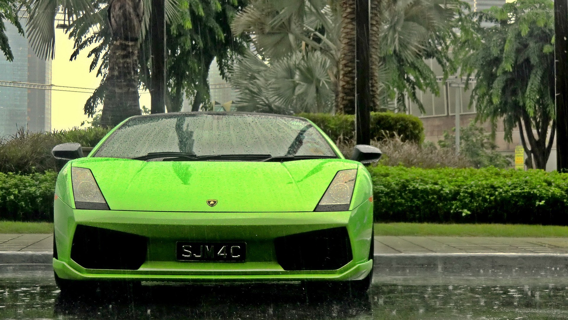 Green Lamborghini in the rain