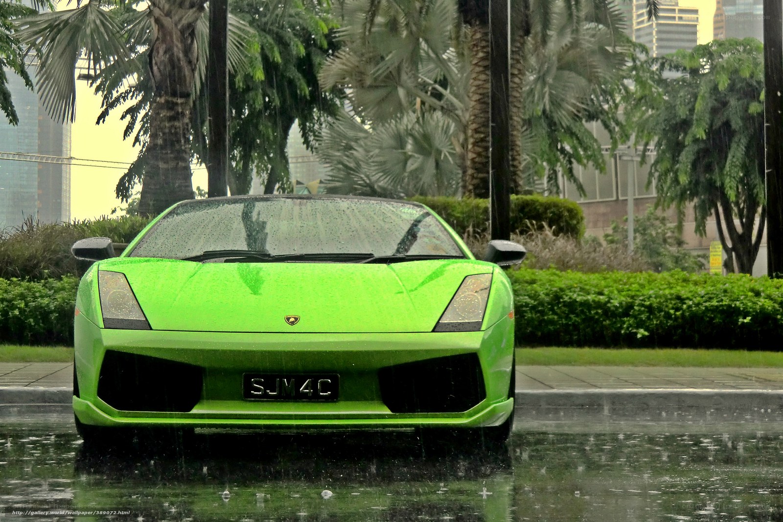 Green Lamborghini in the rain