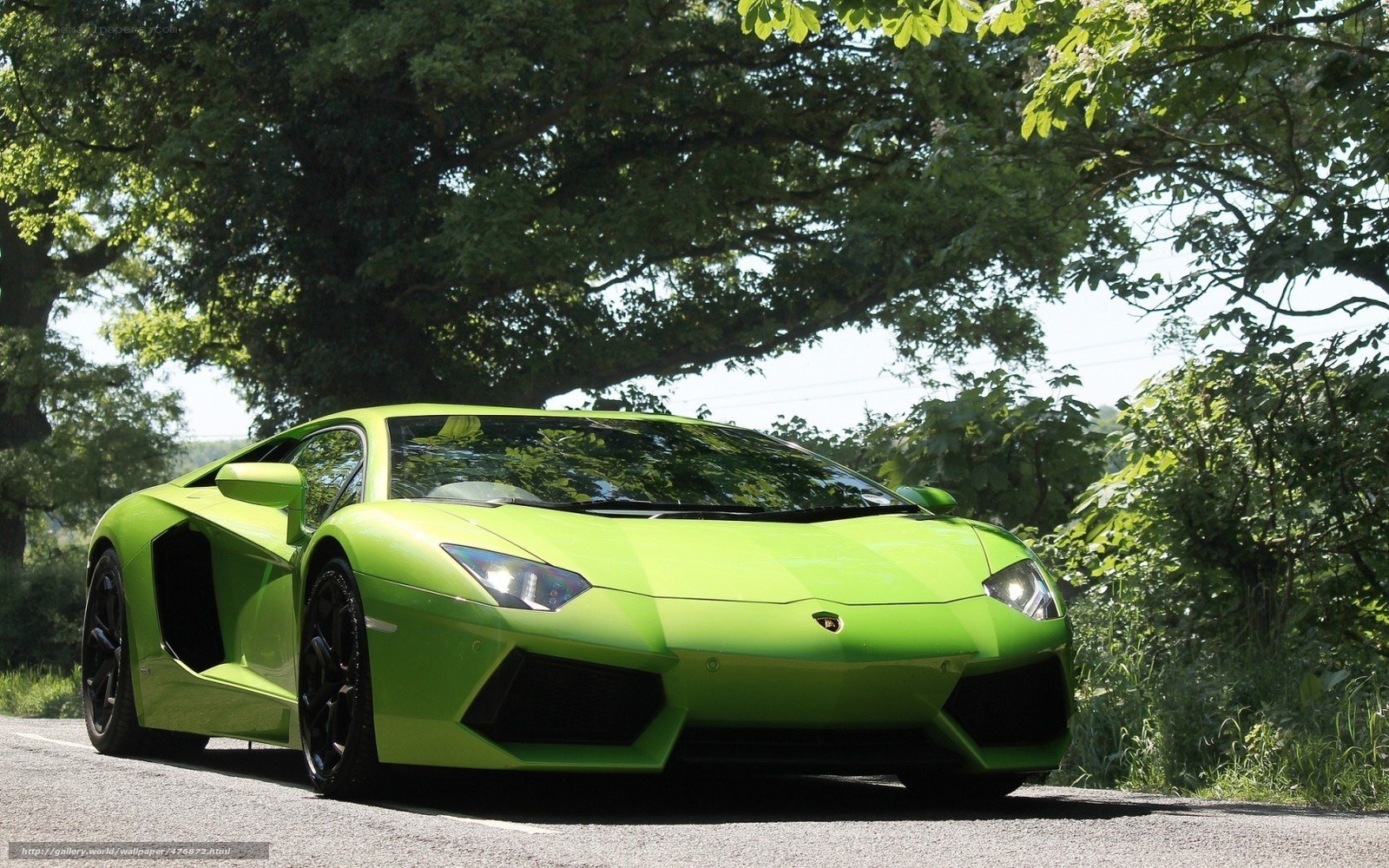 Green Lamborghini on a country road