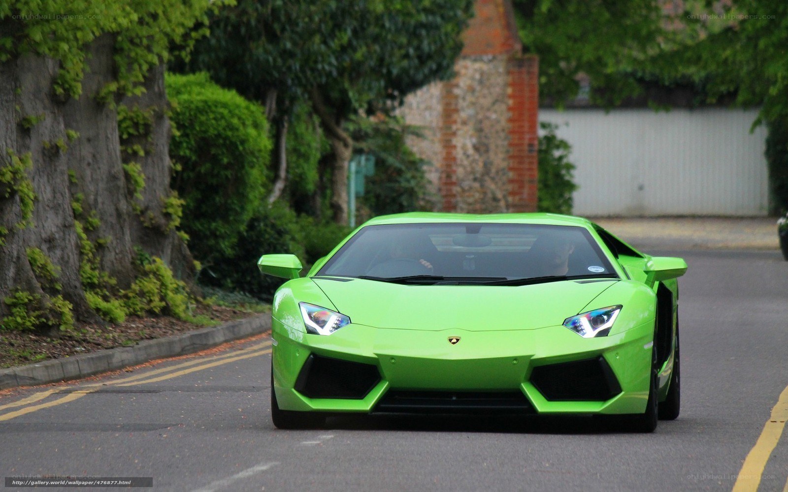 green lamborghini on a road
