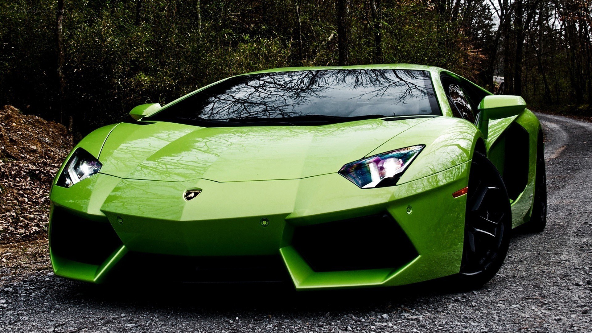 green lamborghini on forest road