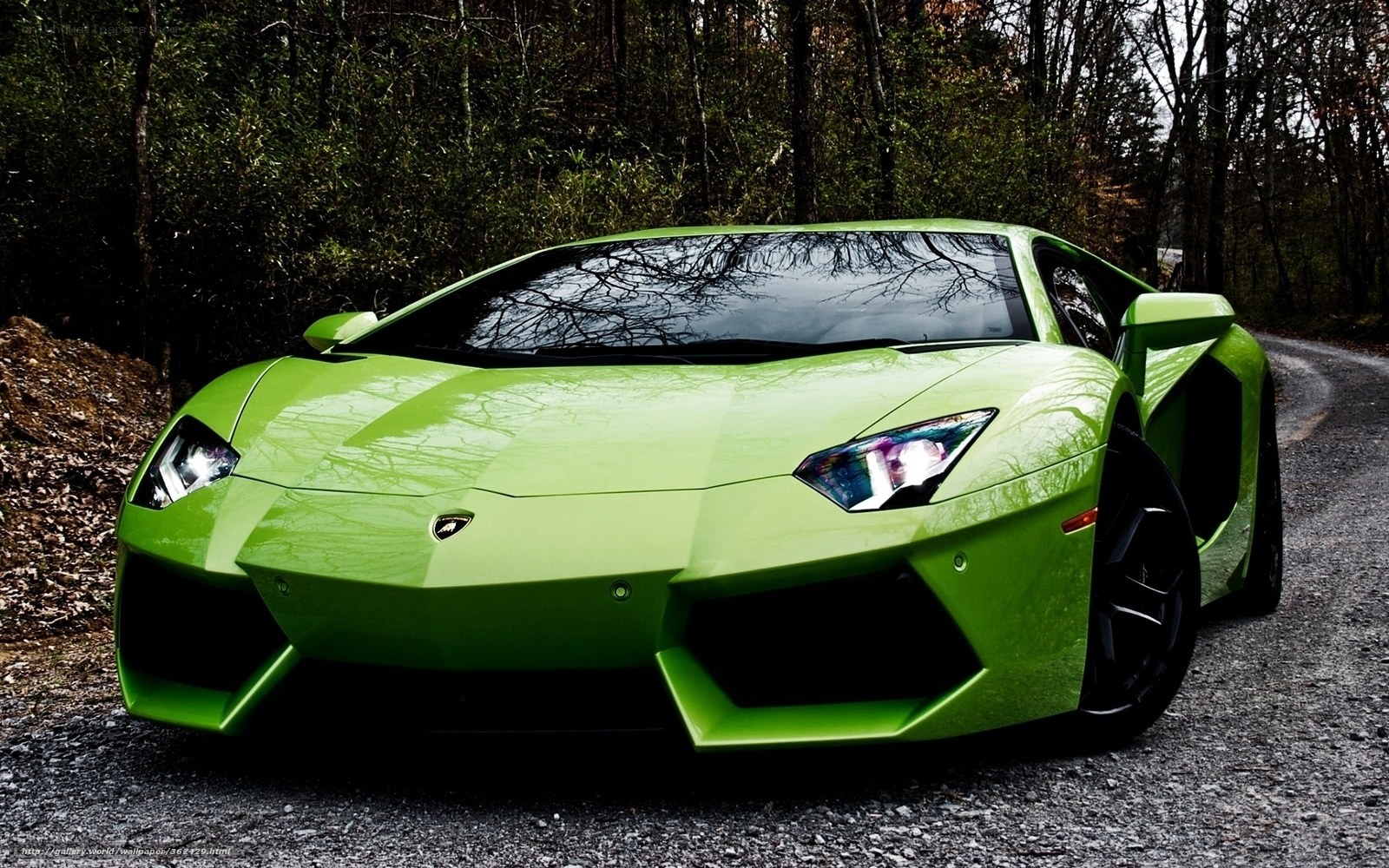 green lamborghini on forest road