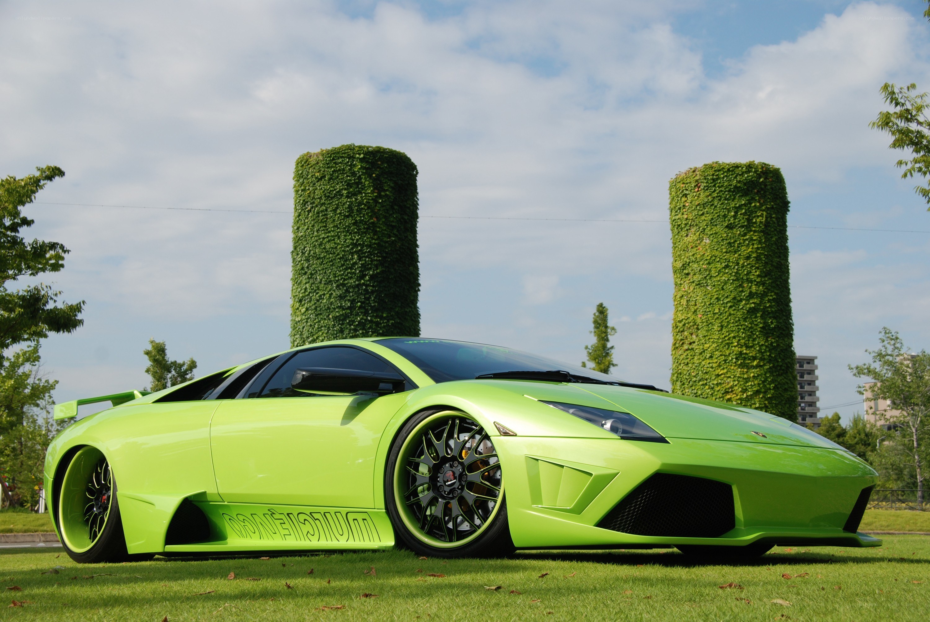 green lamborghini on grass