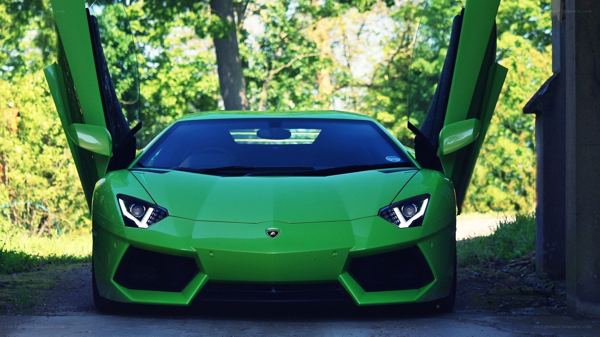 green lamborghini with doors open