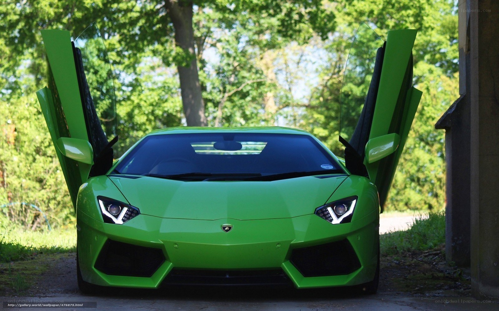 green lamborghini with doors open