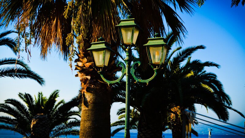 Green Lamppost with Palm Trees