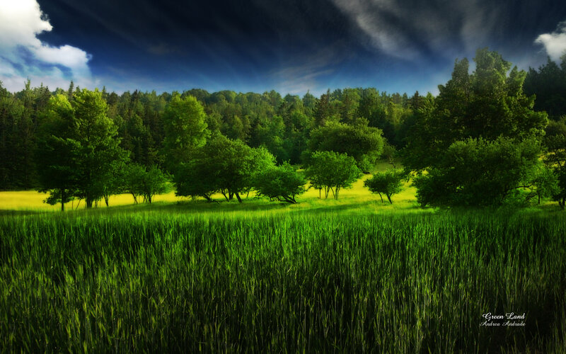 Green Land Landscape