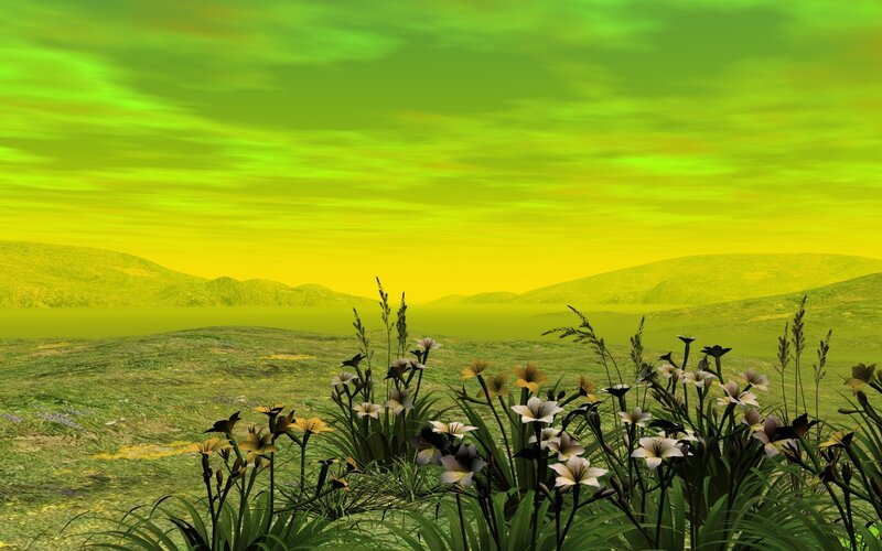 green landscape with flowers