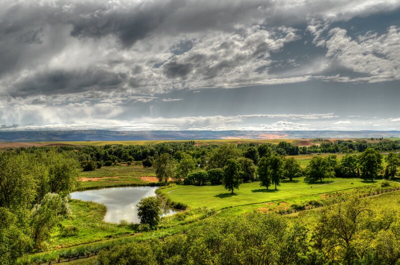 Green Landscape with Pond