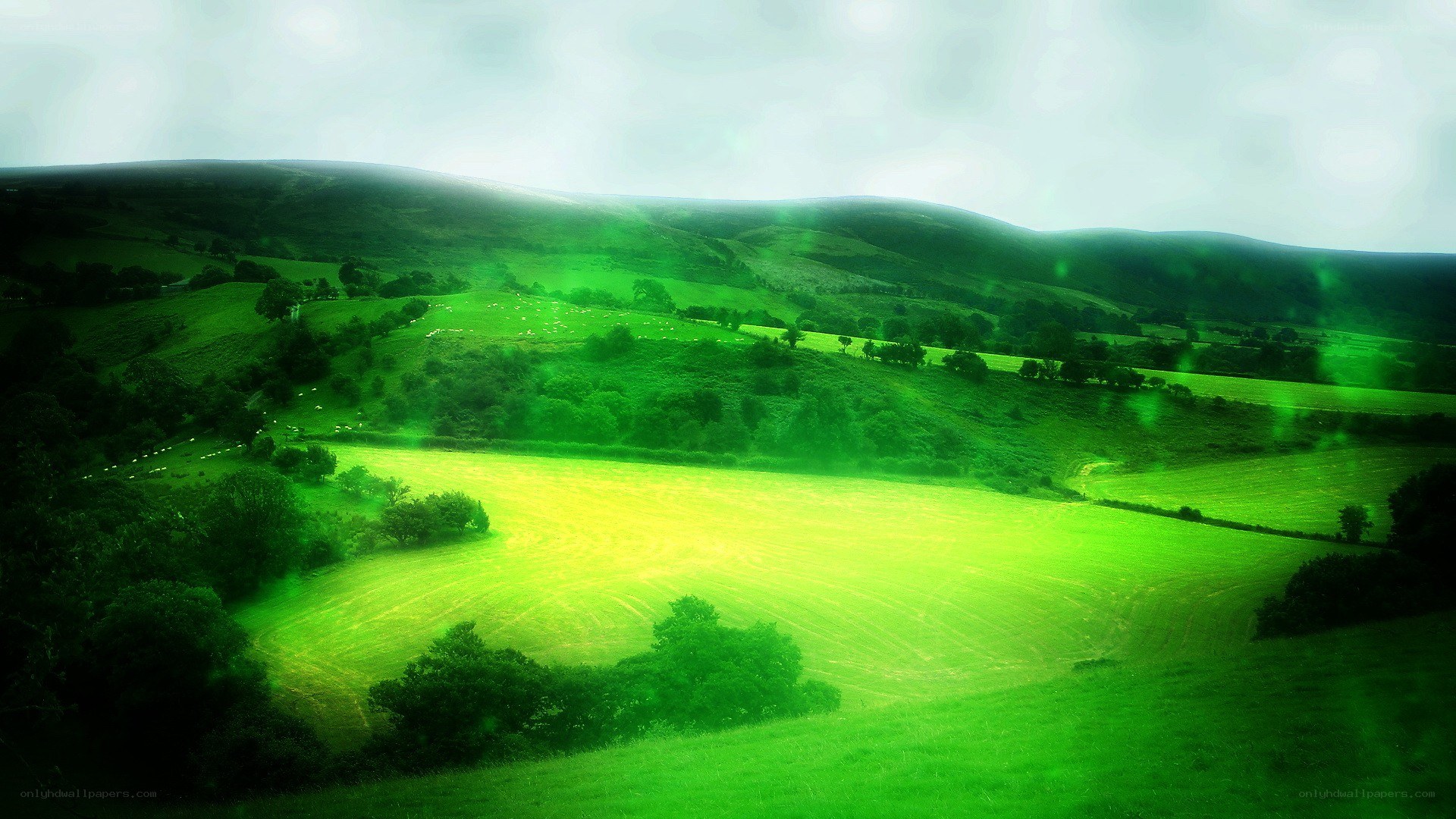 green landscape with rolling hills