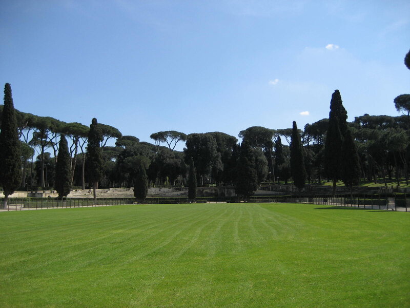 Green Lawn and Trees