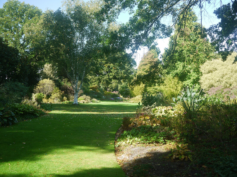 Green Lawn in Garden