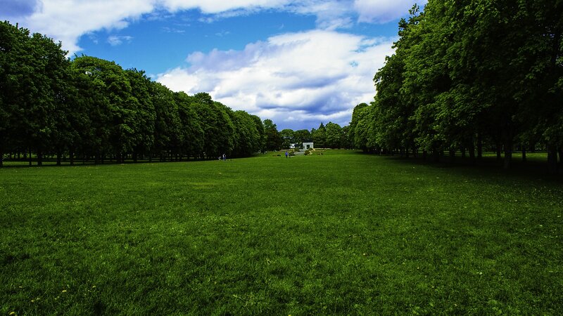 Green Lawn in Park