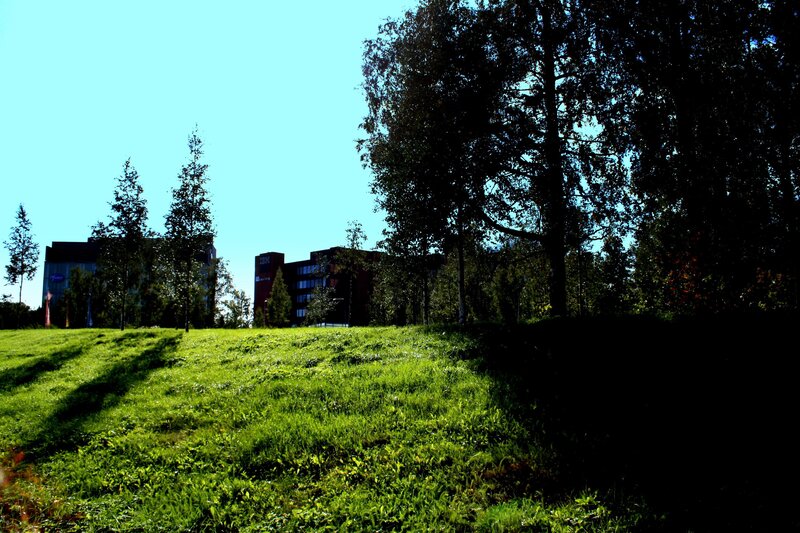 Green lawn with buildings in background