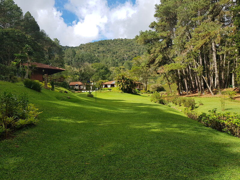 Green Lawn with Cabins
