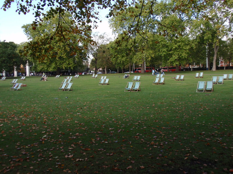 Green Lawn with Deck Chairs