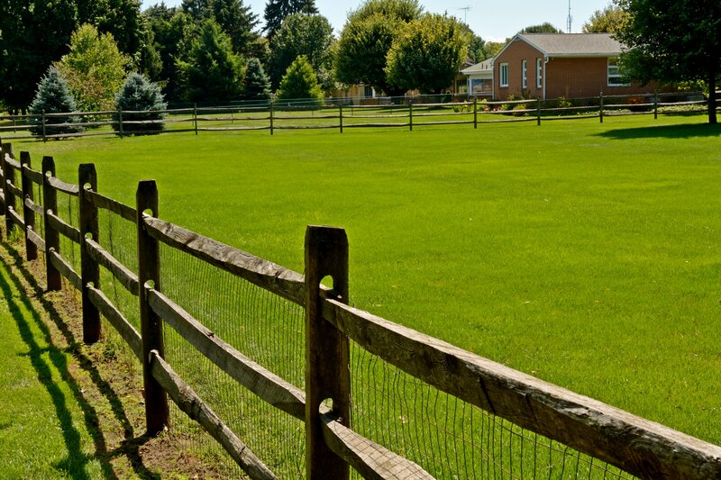 Green Lawn with Fence