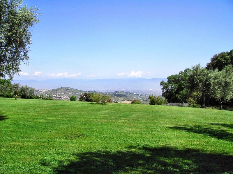 Green Lawn with Hills