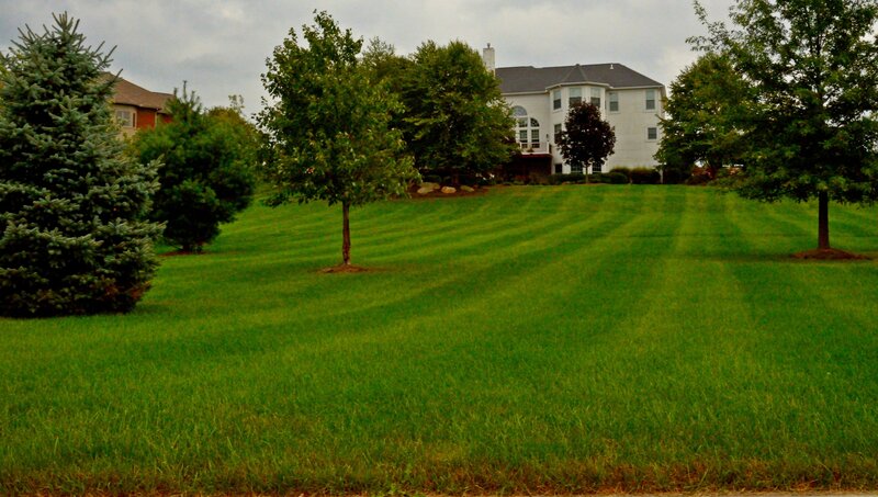 Green Lawn with House