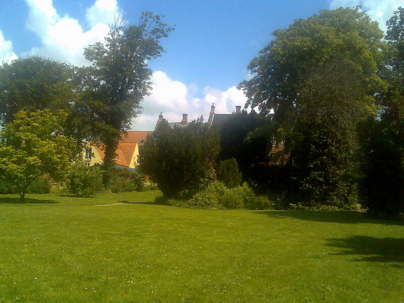 Green lawn with houses in background