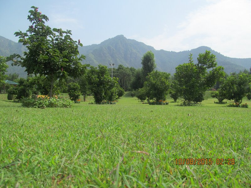 Green Lawn with Mountains