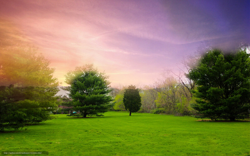 Green Lawn with Trees — Serene, Sunset
