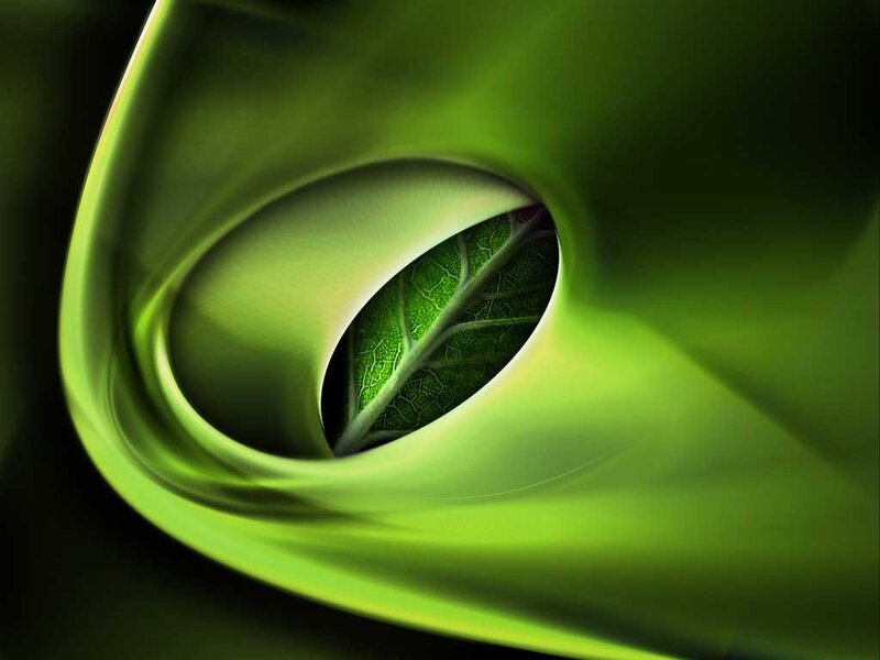 green leaf abstract design