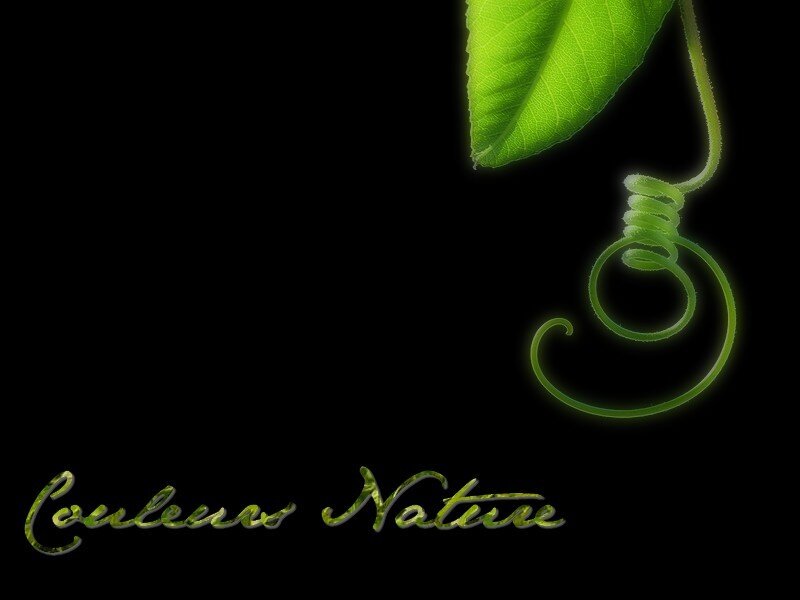 green leaf and vine on black