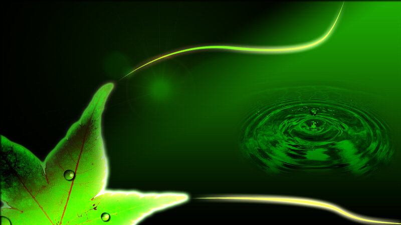 green leaf and water ripple