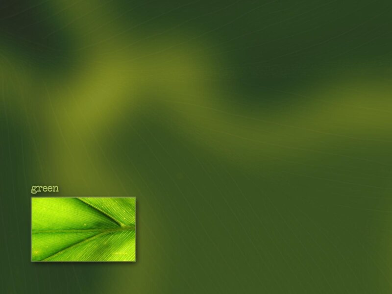 green leaf background