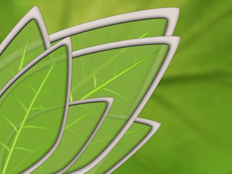 green leaf design pattern