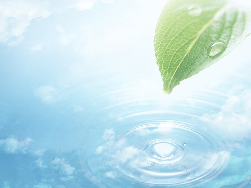 Green Leaf Dropping into Water