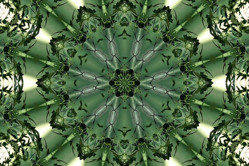 green leaf kaleidoscope pattern