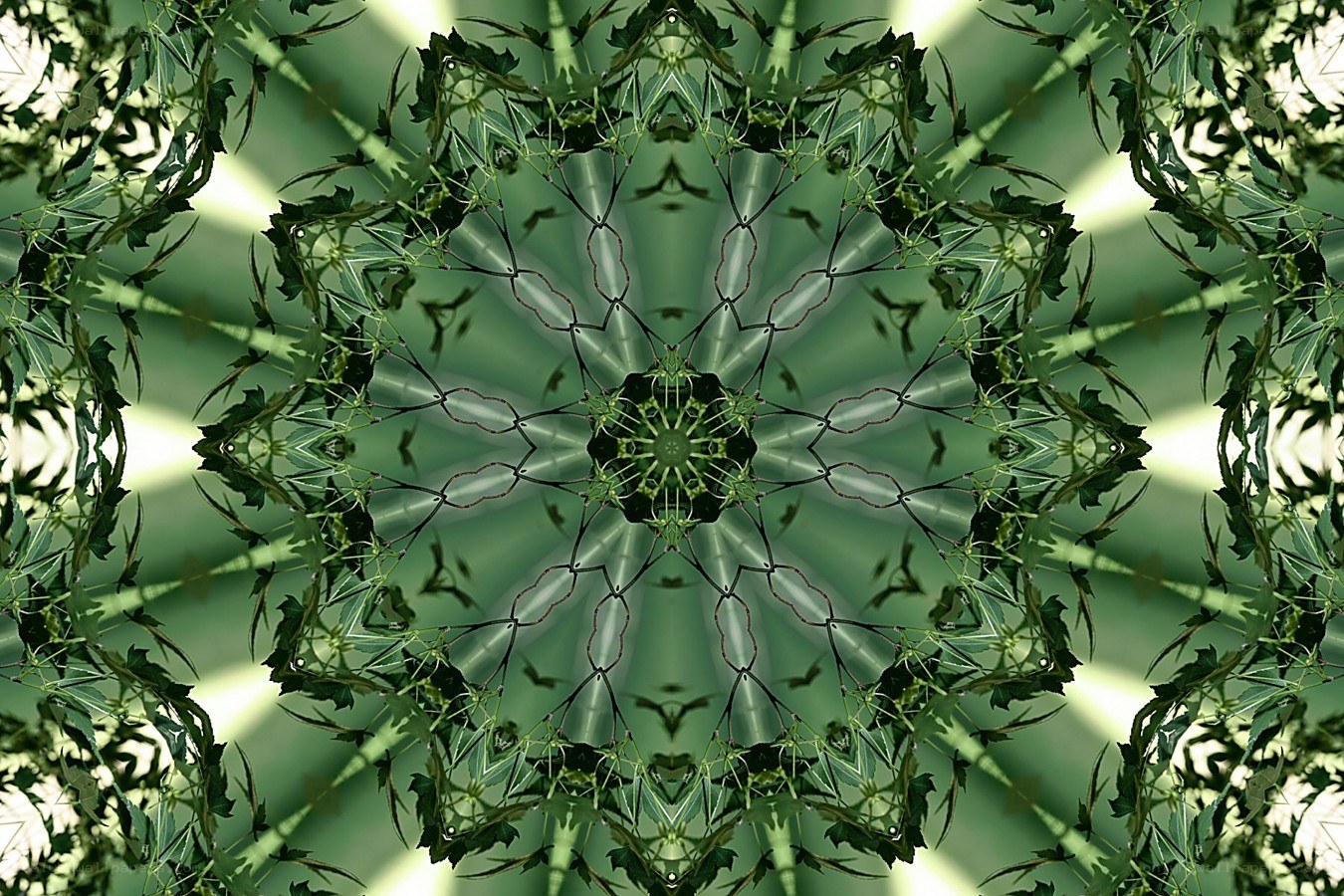 green leaf kaleidoscope pattern