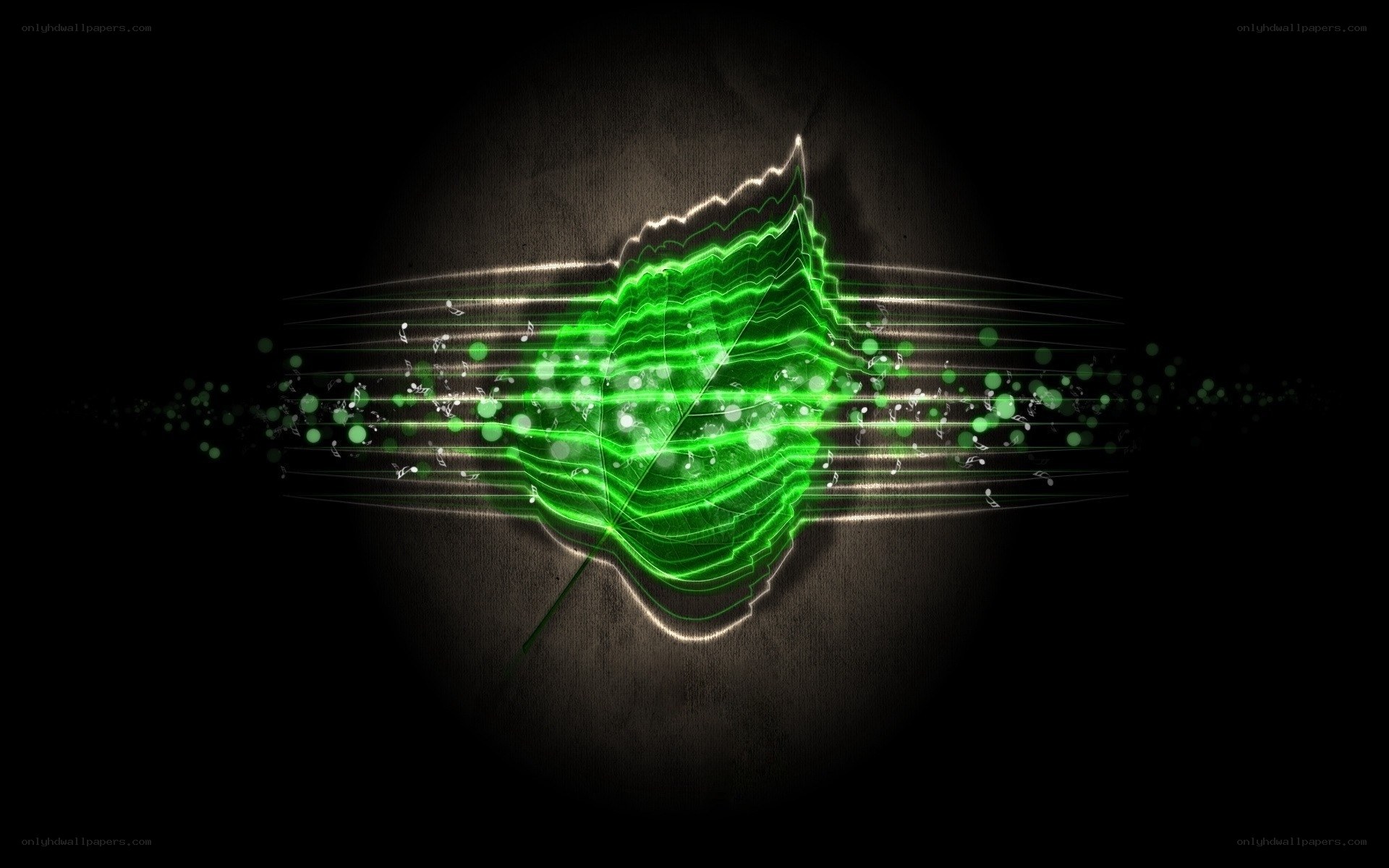 Green leaf music visualization