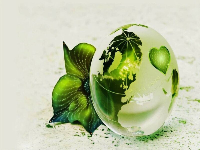 Green Leaf Next to Globe