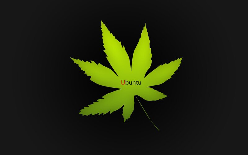 Green Leaf on Black — Minimalist, Vector Art